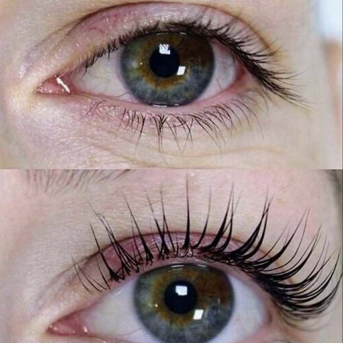 Lash Tinting