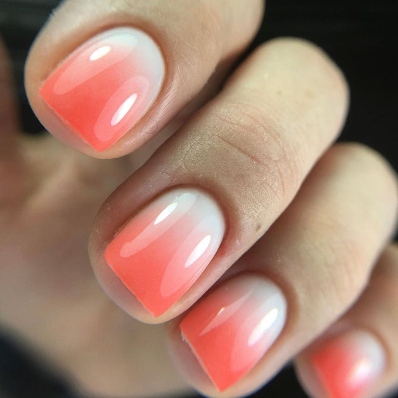 Full Set Ombre - Extension